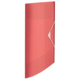 Carpetas de gomas CARPETA de GOMAS y SOLAPAS ESSELTE COLOUR BREEZE PP A4 CORAL 22201074  EI1