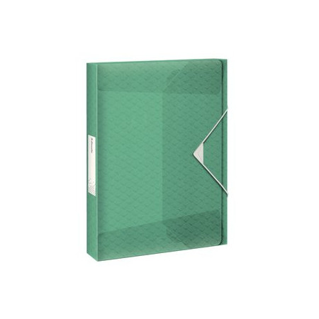 Carpetas de proyectos CARPETA de PROYECTOS ESSELTE COLOUR BREEZE PP A4 GOMAS 4 cm VERDE 16401322  2020750MEU