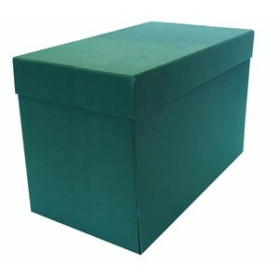 Archivo definitivo (cajas transferencia) CAJA de TRANSFERENCIAS ELBA GELTEX Fº 21 cm VERDE (3230202) 18001308  90422
