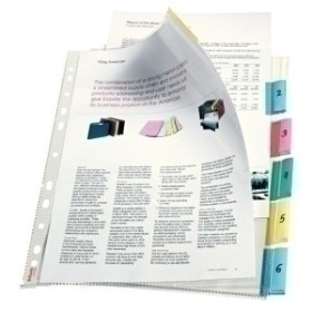 Fundas multitaladro FUNDA MULTITALADRO con PESTAÑAS ESSELTE PP 85µ CRISTAL LISO A4 11 TAL.RFZO. SET de 6 18901515  69523952