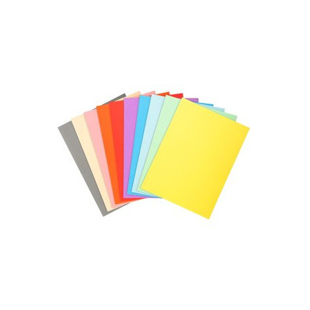 Subcarpetas SUBCARPETA EXACOMPTA FOREVER 170g A4 SURTIDO PAQUETE de 100 19801428  05700000