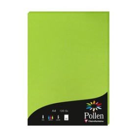Papel verjurado y alta gama PAPEL CLAIREFONTAINE POLLEN A4 120g 50h VERDE MENTA 25201783  18751