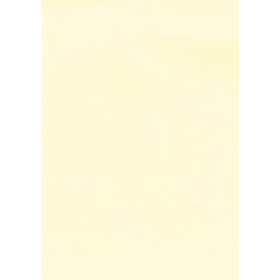 Papel verjurado y alta gama PAPEL VERJURADO A4 APLI 100g 100h CREMA 18801737  PSA08MX