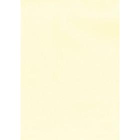 Papel verjurado y alta gama PAPEL VERJURADO A4 APLI 200g 20h CREMA 18801740  PSA15B