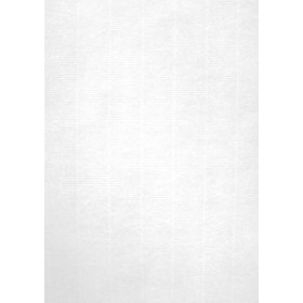 Papel verjurado y alta gama PAPEL VERJURADO A4 APLI 220g 20h BLANCO 18801739  PSA08V