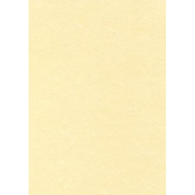 Papel verjurado y alta gama PAPEL PERGAMINO A4 APLI 95g 100h CHAMPAN 45003403  90-DQ0435-UA221KZ