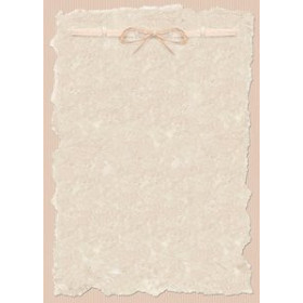 Papel verjurado y alta gama PAPEL TEMATICO A4 APLI 90g 20h PERGAMINO MODERNO 62202761  51205