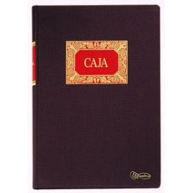 Libro de contabilidad LIBRO CONTABILIDAD Fº CAJA  ENTRADAS-SALIDAS 12801389  119065