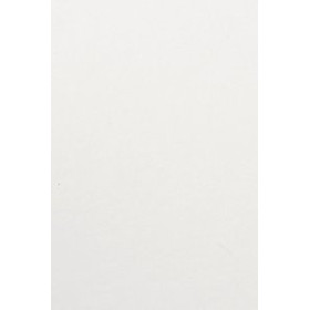 Bolsas de papel BOLSA de PAPEL TV ASA TROQUELADA CELULOSA 31x47+7 cm BLANCO PAQUETE de 25 30301994  10251006