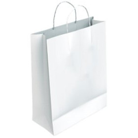 Bolsas de papel BOLSA de PAPEL ANDINA KRAFT BLANCO 18x24x8 cm BLANCO PAQUETE de 50 23501295  0800121R