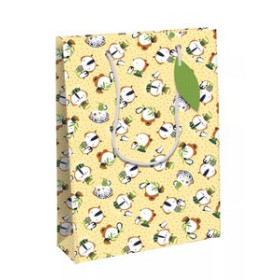 Bolsas de papel BOLSA de PAPEL CLAIREFONTAINE EXCELLIA DECORADO C/ASAS 33x27x14cm COLEGAS PACK DE 6 30501152  19194