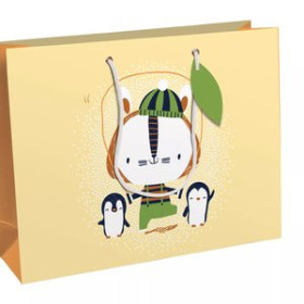 Bolsas de papel BOLSA de PAPEL CLAIREFONTAINE EXCELLIA DECORADO C/ASAS 37x27x12cm COLEGAS PACK DE 6 30501095  17771