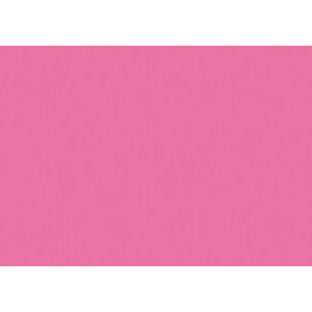 Cartulinas CARTULINA FLUOR A3 IRIS 250g FUCSIA PAQUETE de 50 62402214  842463744