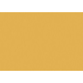 Cartulinas CARTULINA FLUOR A3 IRIS 250g NARANJA PAQUETE de 50 62402210  642464820