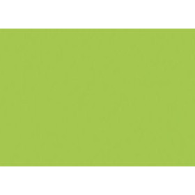 Cartulinas CARTULINA FLUOR A3 IRIS 250g VERDE PAQUETE de 50 62402215  842464744