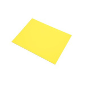 Cartulinas CARTULINA 50x65 FABRIANO COLORE 185g PAQUETE DE 25 AMARILLO CANARIO 62403873  812449882