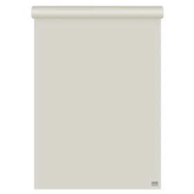 Blocs de pizarra BLOC PIZARRA NOBO 650x955 60g CUADRICULADO/LISO 50h 62501068  612459918