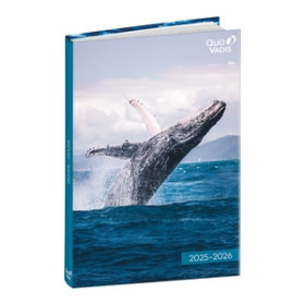 Agendas escolares AGENDA ESCOLAR (2025-26) QUO VADIS EUROTEXTAGENDA  AMIGOS BALLENA 12x17cm D/P 26401662  5193C
