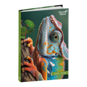 Agendas escolares AGENDA ESCOLAR (2025-26) QUO VADIS EUROTEXTAGENDA  AMIGOS CAMALEON 12x17cm D/P 26401629  5343C