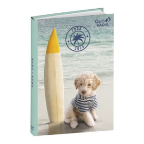 Agendas escolares AGENDA ESCOLAR (2025-26) QUO VADIS EUROTEXTAGENDA  AMIGOS PERRO 12x17cm D/P 26401200  55650C