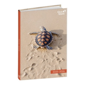 Agendas escolares AGENDA ESCOLAR (2025-26) QUO VADIS EUROTEXTAGENDA  AMIGOS TORTUGA 12x17cm D/P 26401626  50031C