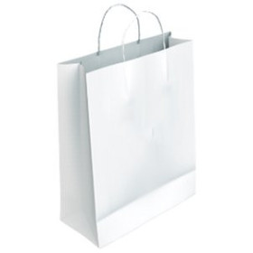Bolsas de papel BOLSA de PAPEL ANDINA CELULOSA BLANCA 40x46x18 cm BLANCO a GRANEL caja de 200
