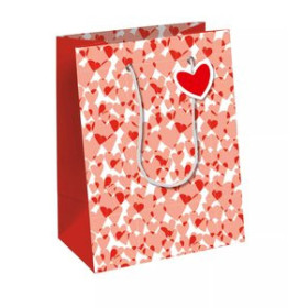 Bolsas de papel BOLSA de PAPEL CLAIREFONTAINE EXCELLIA DECORADO C/ASAS 25x22x10cm AMOR