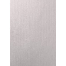 Bolsas de papel BOLSA de PAPEL TV CELULOSA 22x11x32 cm PLATA PAQUETE de 25