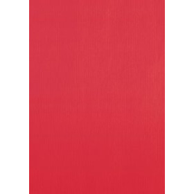 Bolsas de papel BOLSA de PAPEL TV CELULOSA 24x10x23 cm ROJO PAQUETE de 25