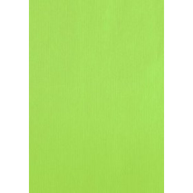 Bolsas de papel BOLSA de PAPEL TV CELULOSA 26x12x35 cm PISTACHO PAQUETE de 25