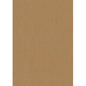 Bolsas de papel BOLSA de PAPEL TV KRAFT 14x9x36 cm KRAFT MARRON ANONIMO PAQUETE de 25