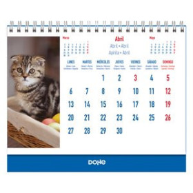 Calendarios murales y sobremesa CALENDARIO (2026) DOHE SOBREMESA IMAGENES MENSUAL PARA ESCRIBIR 150x210 GATOS