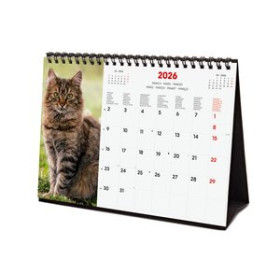 Calendarios murales y sobremesa CALENDARIO (2026) FINOCAM INTERNACIONAL SOBREMESA IMAGENES MENSUAL PARA ESCRIBIR S 210x150 CATS