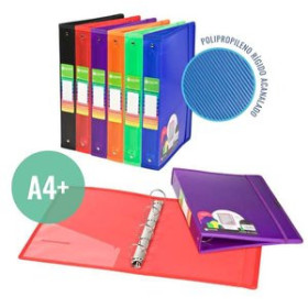 Carpetas de anillas CARPETA de ANILLAS CARCHIVO DUNE PP A4+ 4 an.40mm EXPOSITOR de 9