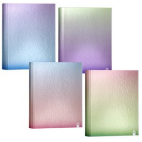 Carpetas de anillas CARPETA de ANILLAS CARCHIVO METAL GRADIENT CARTON PLASTIFICADO BRILLO A4 4 an.MIXTA 40mm SURTIDO (4 col.)