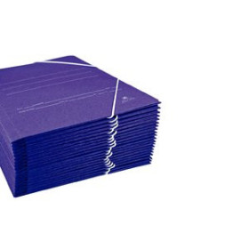 Carpetas de gomas CARPETA de GOMAS y BOLSA CARTON Fº AZUL