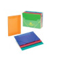 Carpetas de gomas CARPETA de GOMAS y SOLAPAS CARCHIVO PP TRANS. Fº FLUOR VERDE