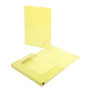 Carpetas de gomas CARPETA de GOMAS y SOLAPAS CARCHIVO SOFT CARTON BRILLO Fº AMARILLO