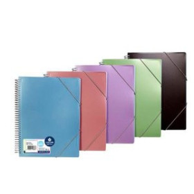 Carpetas de fundas (tarifarios) CARPETA FUNDAS (TARIFARIO) CARCHIVO METAL PP ARCHIVEX A4  20 F. SURTIDO (5 col.)