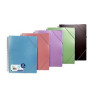 Carpetas de fundas (tarifarios) CARPETA FUNDAS (TARIFARIO) CARCHIVO METAL PP ARCHIVEX A4  40 F. SURTIDO (5 col.)