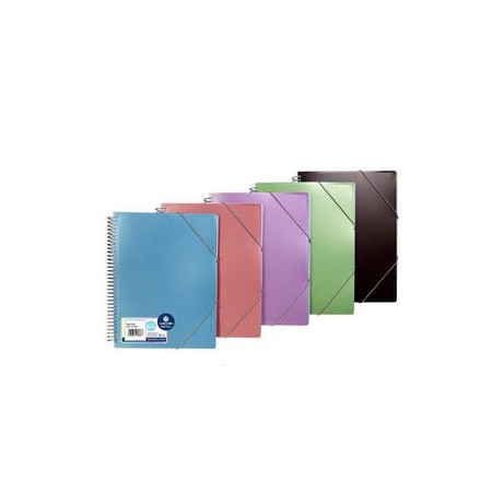Carpetas de fundas (tarifarios) CARPETA FUNDAS (TARIFARIO) CARCHIVO METAL PP ARCHIVEX A4  40 F. SURTIDO (5 col.)