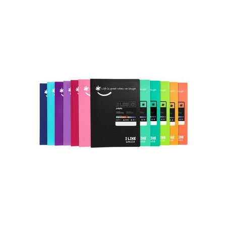 Carpetas de fundas (tarifarios) CARPETA FUNDAS (TARIFARIO) GRAFOPLAS PP SEMIRRIGIDO POLIPLAS LIKE 2 OPACO Fº 10 F. MORADO