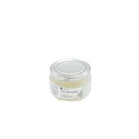 Barnices y lacas CERA LA PAJARITA 100 ml INCOLORA