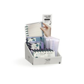 Agendas anuales EXPOSITOR CARCHIVO INGENIOX MY PLANS SURTIDO DE 22