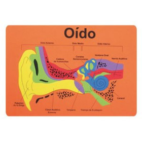 Juegos educativos GOMA EVA FIXO KIDS PUZLE 26x36 cm. SISTEMA AUDITIVO