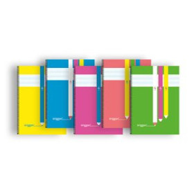 Blocs espiral tapa PP LAMELA BLOC ERIGGAN tapa POLIPROPILENO Fº 80h 90g CUADROVIA 4 mm (5 col.surt.)