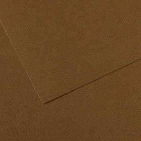 Papel técnicas húmedas: Blocs y láminas LAMINA CANSON MI-TEINTES 50x65 cm 160g PAQUETE 10h (501) MARRON OSCURO