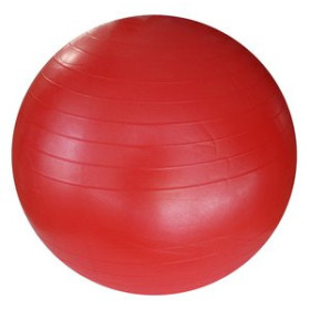 Psicomotriz educativa PELOTA GIGANTE 55 cm