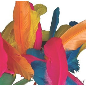 Pom-pom y plumas PLUMAS INDIO NIEFENVER BOLSA DE 50 UD (6 colores surtidos)