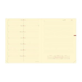 Recambios para agendas RECAMBIO AGENDA ANUAL (2026) QUO VADIS NOTE 27 SP 270x210 S/V CON NOTAS